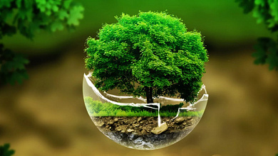 Прямые линии инспекции природных ресурсов и охраны окружающей среды