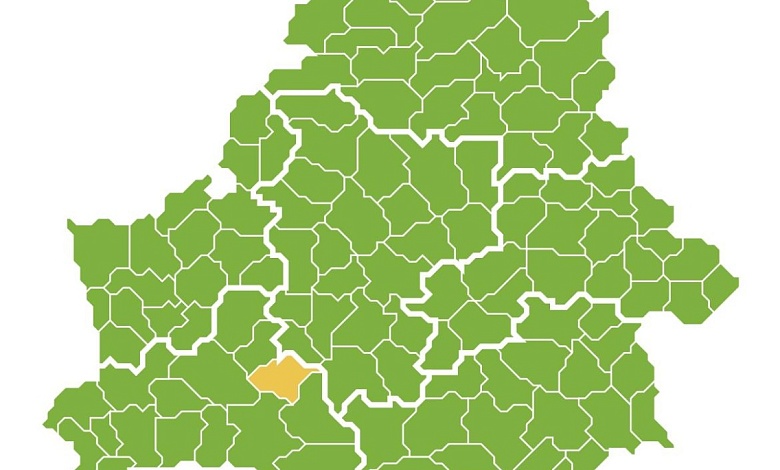 Сняты запреты на посещение лесов в Брестской области