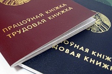 Как комиссия по занятости помогает лунинчанам найти работу