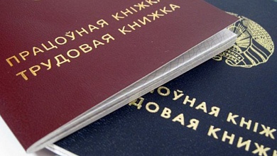 Как комиссия по занятости помогает лунинчанам найти работу