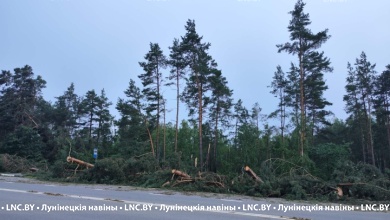 В Микашевичах продолжают ликвидировать последствия субботней непогоды