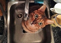 В Лунинце 2 октября отключат воду в нескольких домах