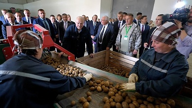 Лукашенко: Ты не ешь лук? Это ОЧЕНЬ плохо, лук надо есть! Всякую заразу убивают! 