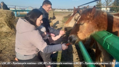 Конный отдых и иппотерапия в Лунинецком районе