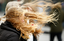 Сильный ветер! Оранжевый уровень опасности объявлен в Беларуси 31 октября