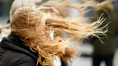 Сильный ветер! Оранжевый уровень опасности объявлен в Беларуси 31 октября