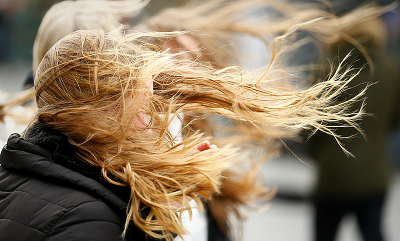 Сильный ветер! Оранжевый уровень опасности объявлен в Беларуси 31 октября