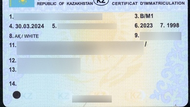 Мужчина купил автомобиль из Казахстана, оказалось, у него есть «двойник»