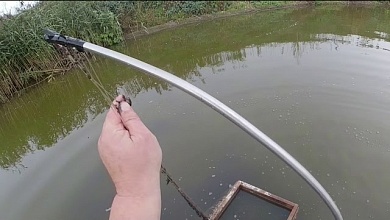 Введен запрет на добычу мотыля в Брестской области