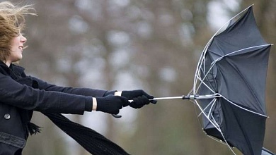 Оранжевый уровень: Сильный ветер прогнозируют синоптики 10 апреля