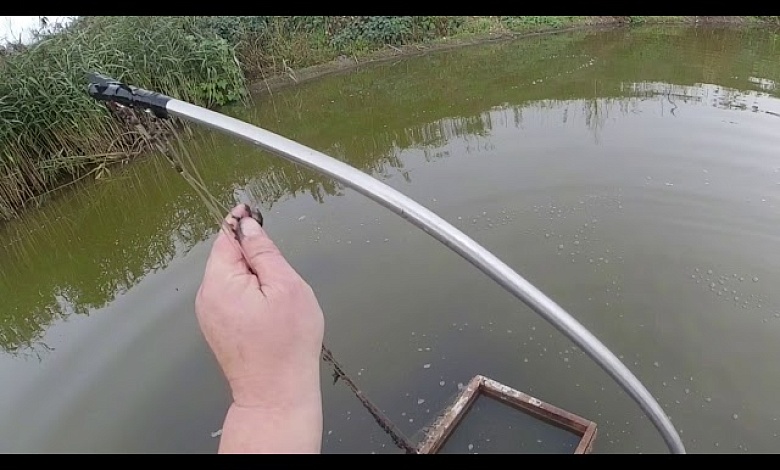 Введен запрет на добычу мотыля в Брестской области