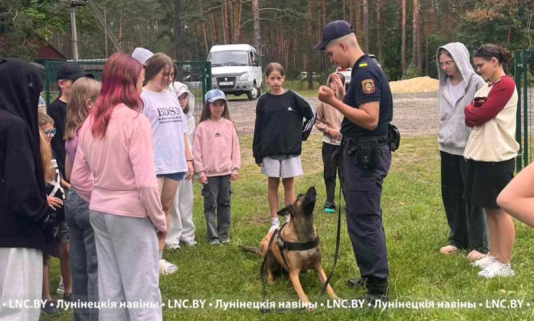 Летние уроки безопасности проводят в Лунинецком районе
