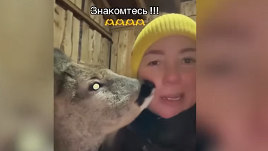 Кто спас косулю от депрессии? // Приют на белорусской ферме! // “Аист САМ пришёл за помощью!”