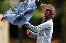 Из-за сильного ветра в Беларуси объявлен оранжевый уровень опасности 29-30 июля