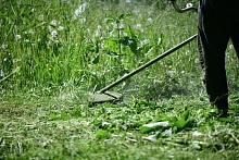 Эксперты развеяли мифы о массовых штрафах за нескошенную траву