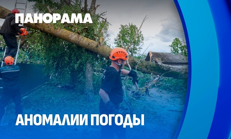 Буря обрушилась на Беларусь: основной удар стихии и устранение последствий