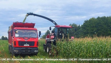К уборке кукурузы приступили в Лунинецком районе