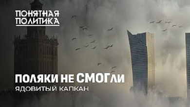 Смог в Польше. Где нечем дышать, кто виноват? Жертвы ядовитых выбросов