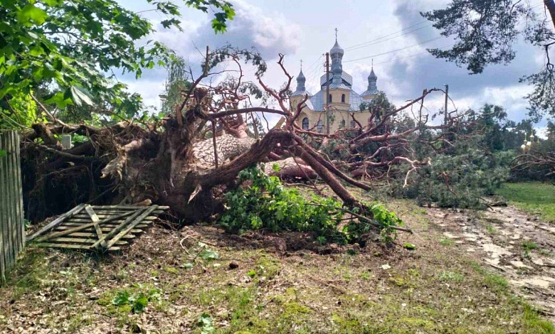 Почти 80 бригад энергетиков устраняли последствия грозового фронта в Брестской области