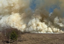 Спасатели второй день тушат пожар в Пинском районе