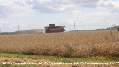 В Лунинецком районе продолжается соревнование на уборке зерновых