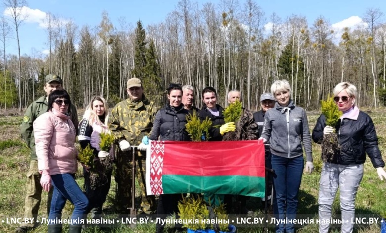 Новые леса! Акция "Лес! Дабро! Парадак!" продолжается в Лунинецком районе 
