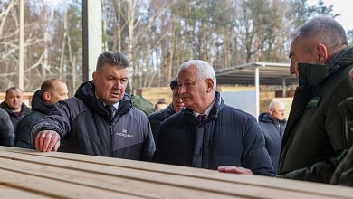 Производства по выпуску поддонов намерены наладить в Лунинецком и Дрогиченском лесхозах