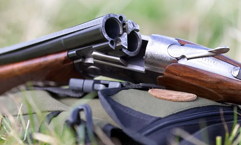 Запрещена охота на землях лесного фонда в Брестской области