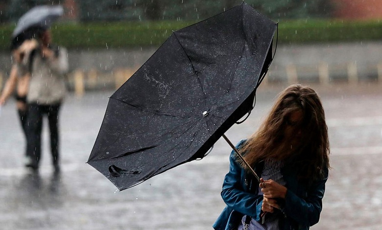 Грозы, ливни и ветер. Оранжевый уровень опасности объявлен в Беларуси 24 июня