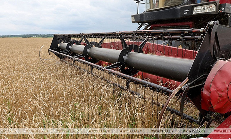 Брестская область намолотила более 2 млн тонн зерна с учетом рапса и кукурузы