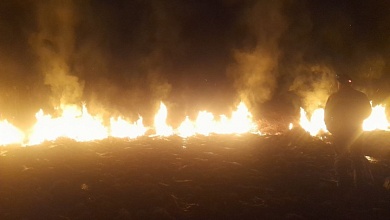 В Брестской области локализован лесной пожар вблизи государственной границы 