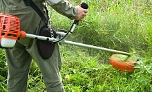 Не скосил траву - готовь 1000 рублей! С 1 июня в Беларуси ужесточили правила содержания придомовых территорий