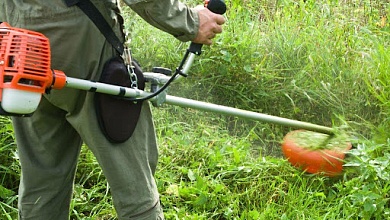 Не скосил траву - готовь 1000 рублей! С 1 июня в Беларуси ужесточили правила содержания придомовых территорий