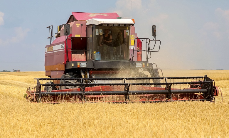 На Лунинетчине убрано более половины площадей озимого ячменя