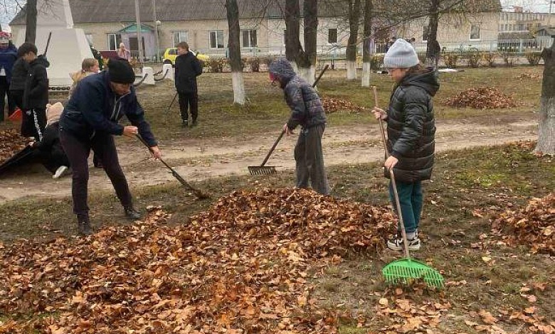 В Лунинецком районе продолжается акция "Чистый памятник"