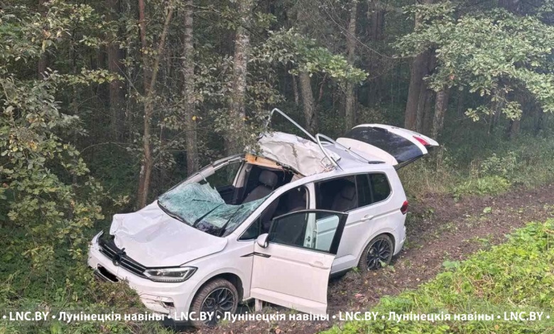 Очередное жесткое ДТП с лосем в Лунинецком районе