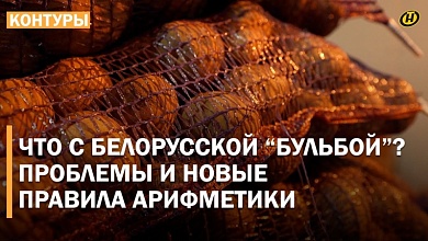 Белорусы и Лукашенко негодуют: КУДА ИСЧЕЗ КАРТОФЕЛЬ? Так, где случился "БАГ"?