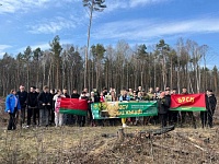 И это только начало! Новую жизнь лесу дают в Лунинецком районе
