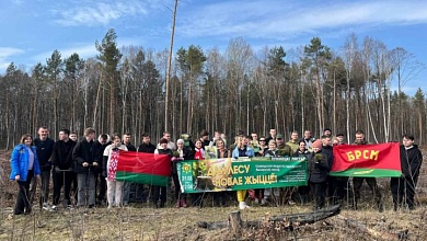 И это только начало! Новую жизнь лесу дают в Лунинецком районе