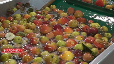 ЧЕМ КОРМЯТ ДЕТЕЙ В БРЕСТСКОЙ ОБЛАСТИ И БЕЛАРУСИ! | Секреты производства питания для малышей