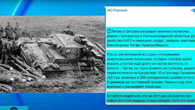 Сколько стоит членство Украины в ЕС? | Литва обслуживает немецких солдат 