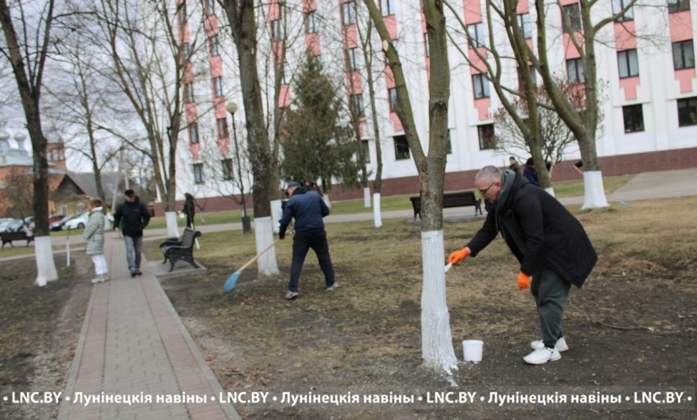 Субботник устроили сотрудники Лунинецкого райисполкома