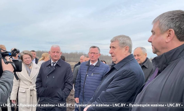 Зимовка моркови в поле | Стабфонд | Свежие овощи круглый год