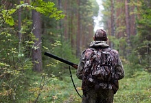 За незаконную охоту будут судить жителя Столинского района. Он уже возместил 4,8 тыс. руб.