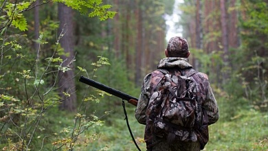 За незаконную охоту будут судить жителя Столинского района. Он уже возместил 4,8 тыс. руб.