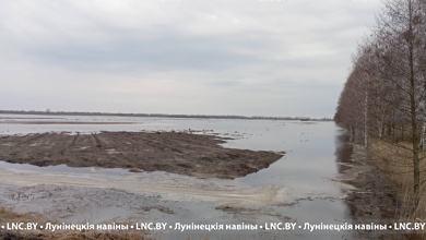 На реке Припять прорвало старую дамбу - постарались бобры. Никакой угрозы нет