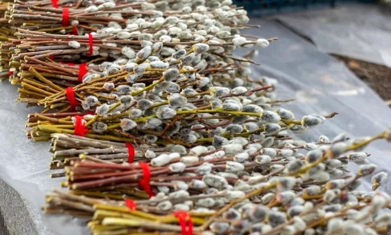 Вербное воскресенье: суть, традиции, приметы