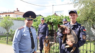 В Лунинце появилась Пальма. Необычная