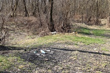 Об ответственности за загрязнение леса, а также поверхностных и подземных вод, рассказали специалисты