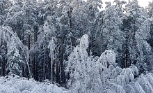 Никакого тепла в начале февраля: заметет ли Беларусь еще больше
